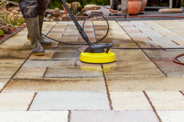 Best House Exterior Washing  in Brocton, NY