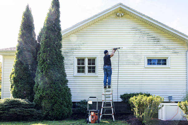 Best Soft Washing  in Brocton, NY