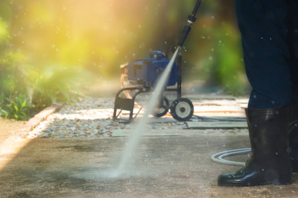 Animal Enclosure Cleaning in Brocton, NY